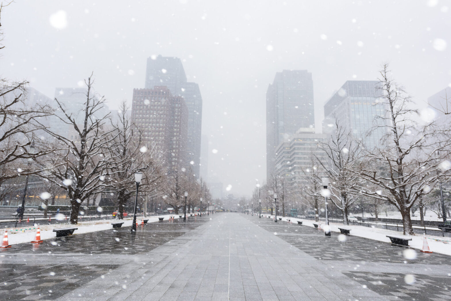 初雪の時に利用するSEO対策